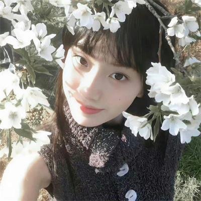 天机算国语