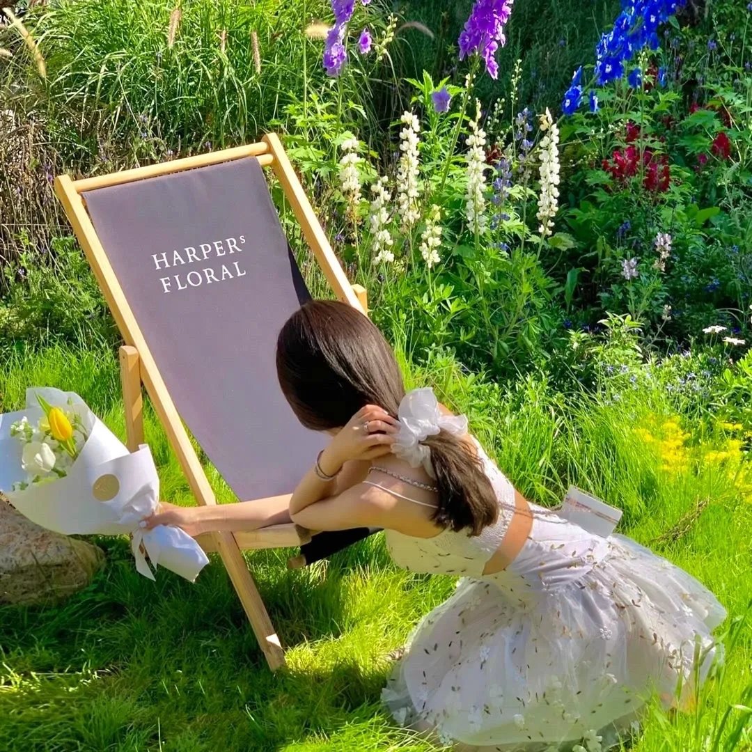 光之美少女全明星F